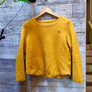 PSALTER | Cropped Wool-Blend Scoop-Neck Sweater - EU 42/US 8, Yellow